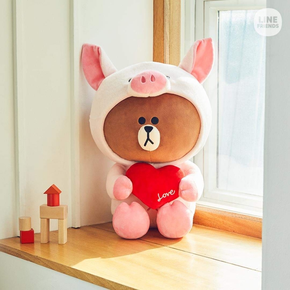 EUC LINE FRIENDS Teddy Bear with removable hoodie